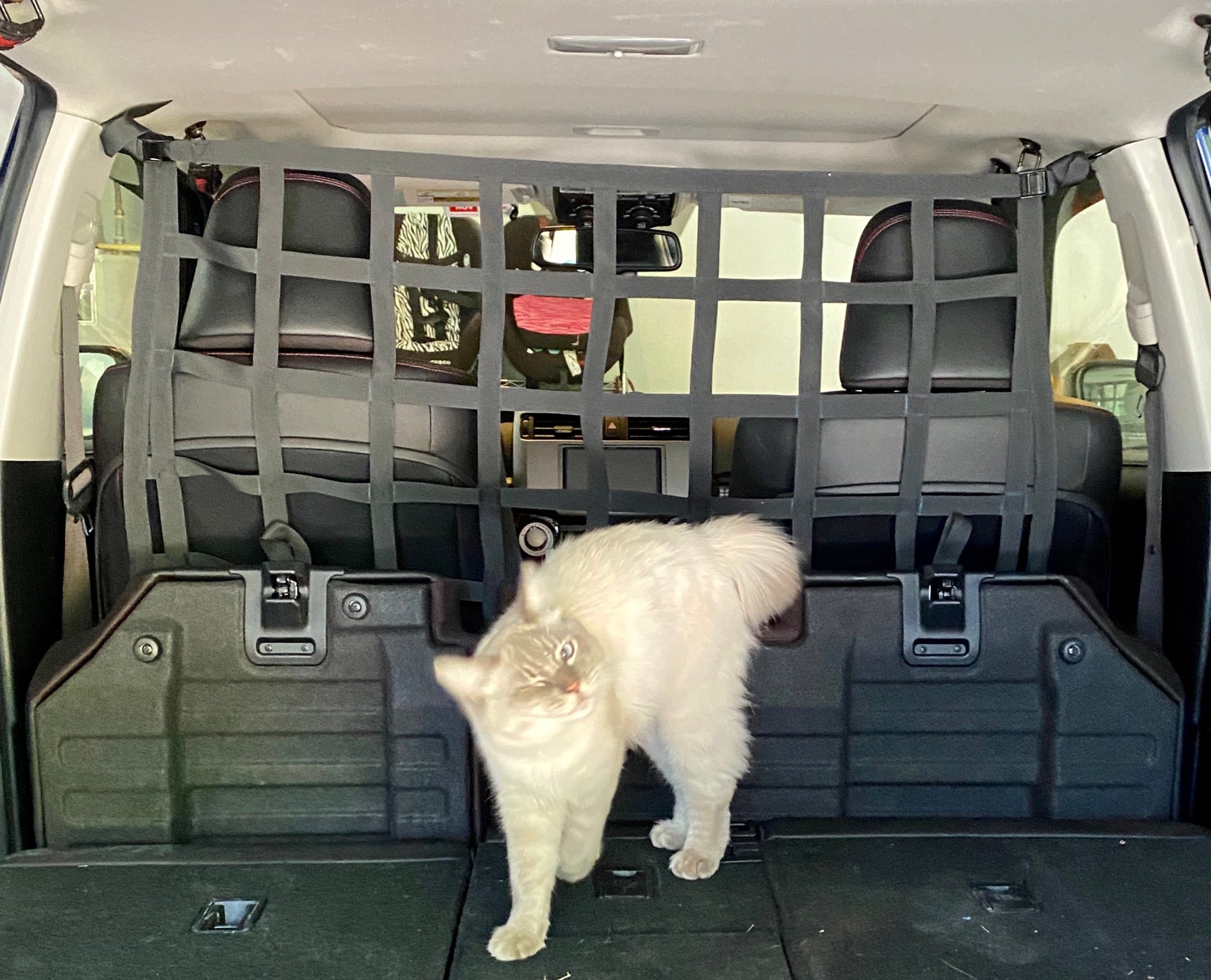 4runner pet barrier Clearance